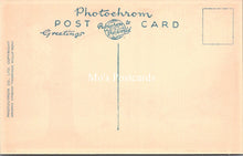 Load image into Gallery viewer, Hampshire Postcard - The New Forest, Burley Street SX101