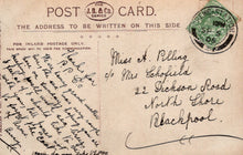 Load image into Gallery viewer, Theatrical Postcard - English Actress Miss Zena Dare VT250