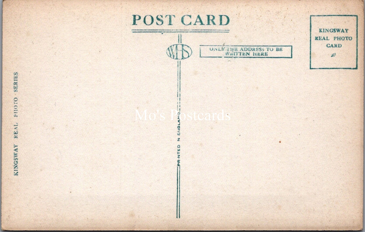 Cumbria Postcard - The Park, Carlisle SW17864