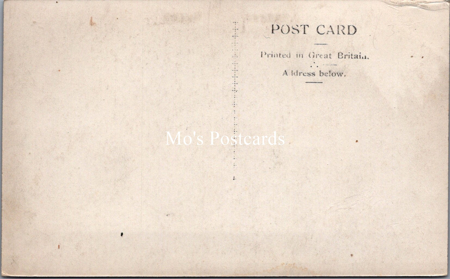 Northumberland Postcard - Village Pump, Bamburgh SW17936