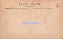 Load image into Gallery viewer, Vintage-style postcard with 'Mo's Postcards' branding on a brown background