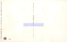 Load image into Gallery viewer, Anthropomorphic Cats Postcard - Artist Alfred Mainzer, Dentist SW20235