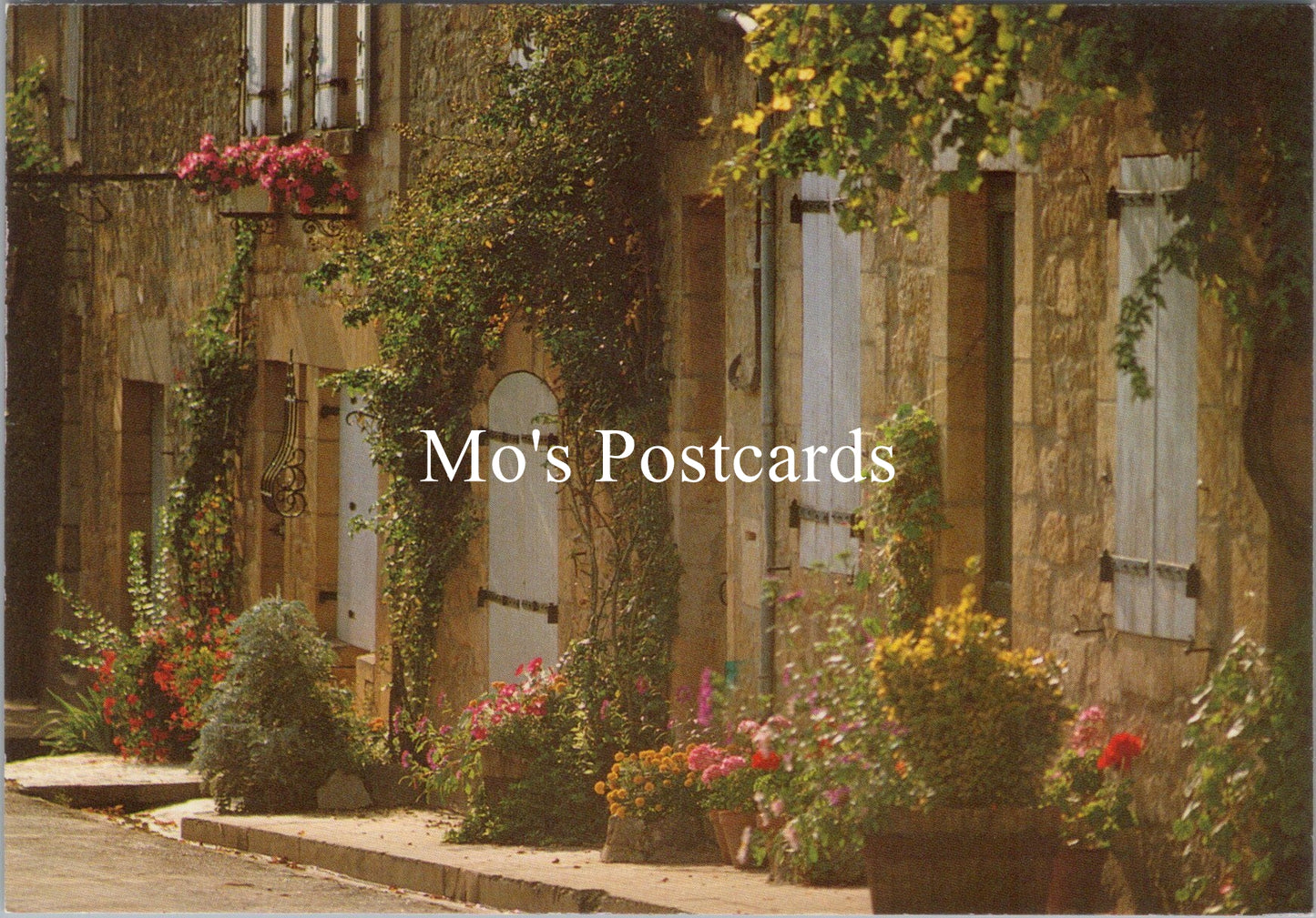 France Postcard - Domme, Dordogne SX278