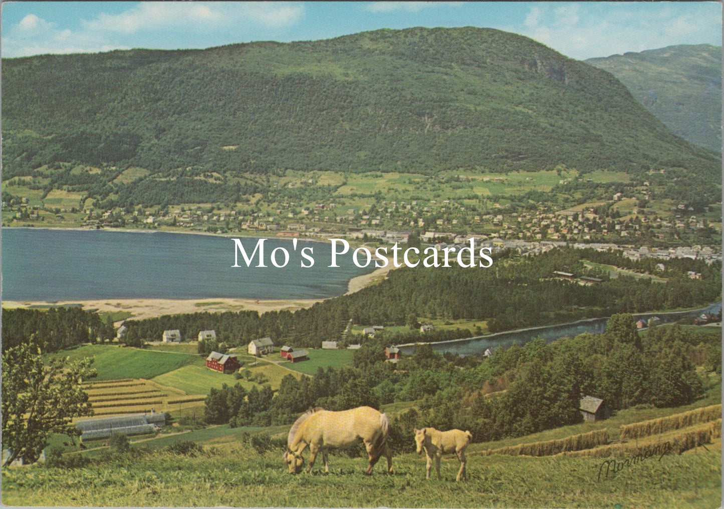 Norway Postcard - View of Voss, Vestland County SX423