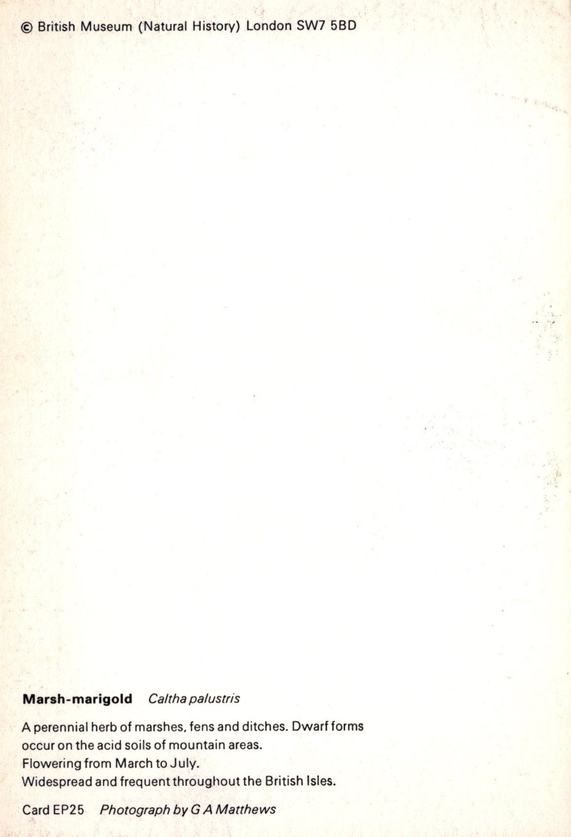 Text on a white background with 'British Museum (Natural History)' at the top