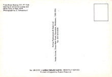 Load image into Gallery viewer, Back of a postcard with text about Trans-Brasil Boeing 727 PT.TCB aircraft, featuring an orange and white livery.