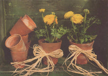 Load image into Gallery viewer, Terracotta pots with yellow flowers and twine bows on a dark background
