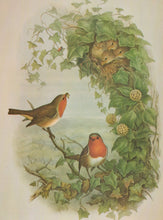 Load image into Gallery viewer, Illustration of two robins and a nest with chicks surrounded by green leaves and flowers.