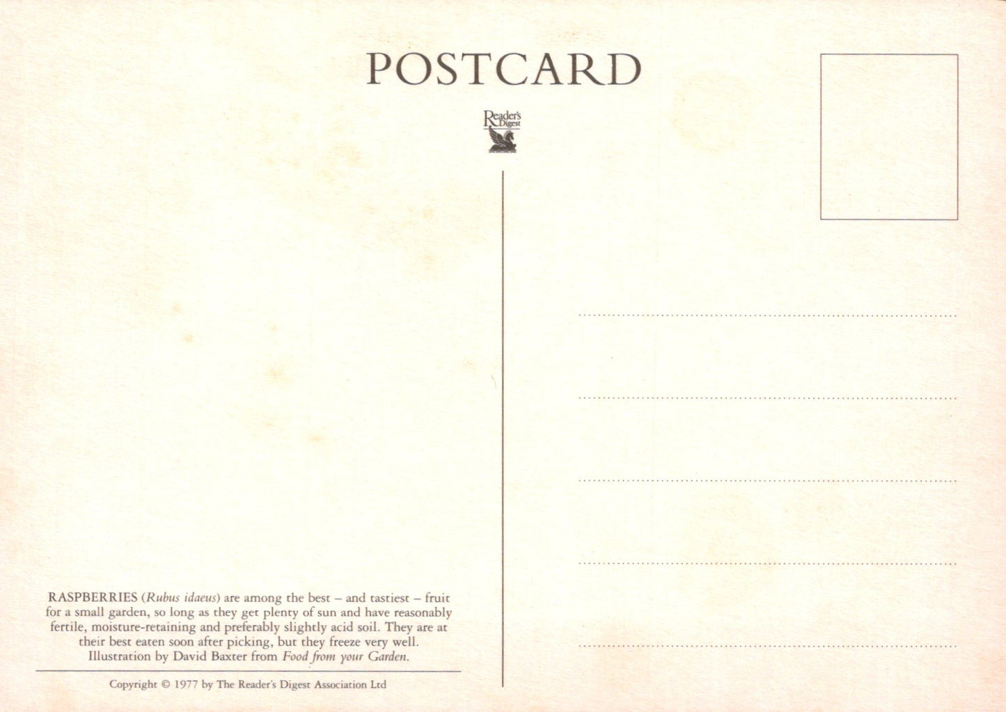 Back of a postcard with text and branding
