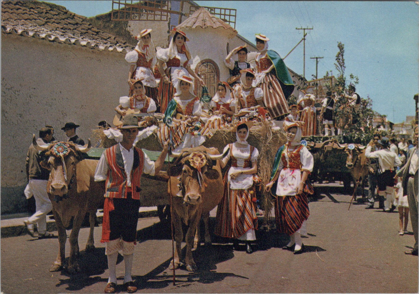 Spain Postcard - Canarias Tipica Romeria, Feria, Bullock Cart SW17333