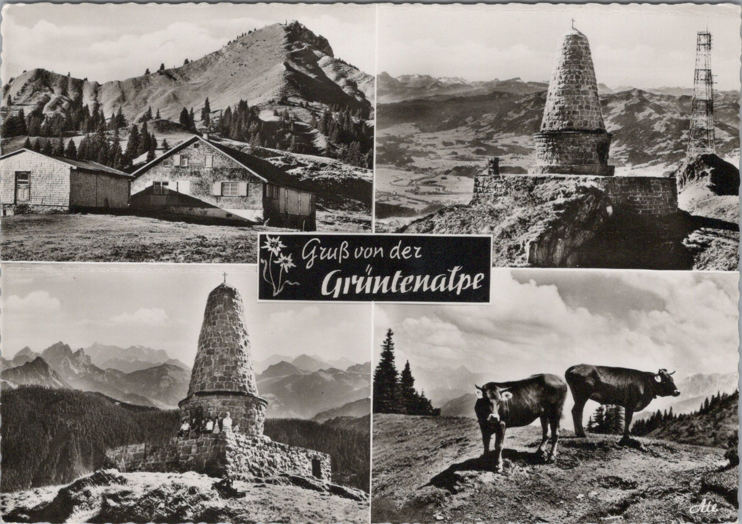 Austria Postcard - Ein Frohes Wiedersehen Auf Der Grunten Hutte SW17283
