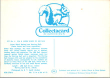 Load image into Gallery viewer, Animals Postcard - Birds, Lesser Black Backed and Herring Gulls SW17251