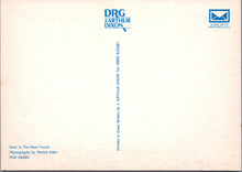 Load image into Gallery viewer, Animals Postcard - Deer in The New Forest SW17254