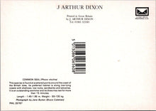 Load image into Gallery viewer, Animals Postcard - Common Seal, Phoca Vitulina SW17259