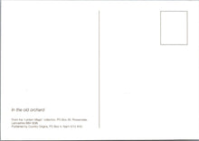 Load image into Gallery viewer, Nature Postcard - In The Old Orchard RR23593