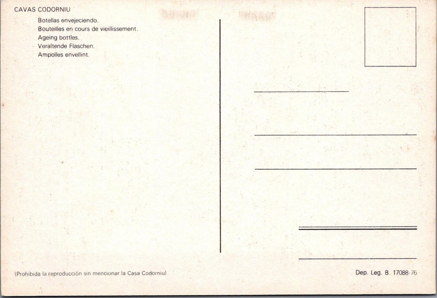 Food & Drink Postcard - Cavas Codorníu, Cava, Spanish Sparkling Wine RR23600