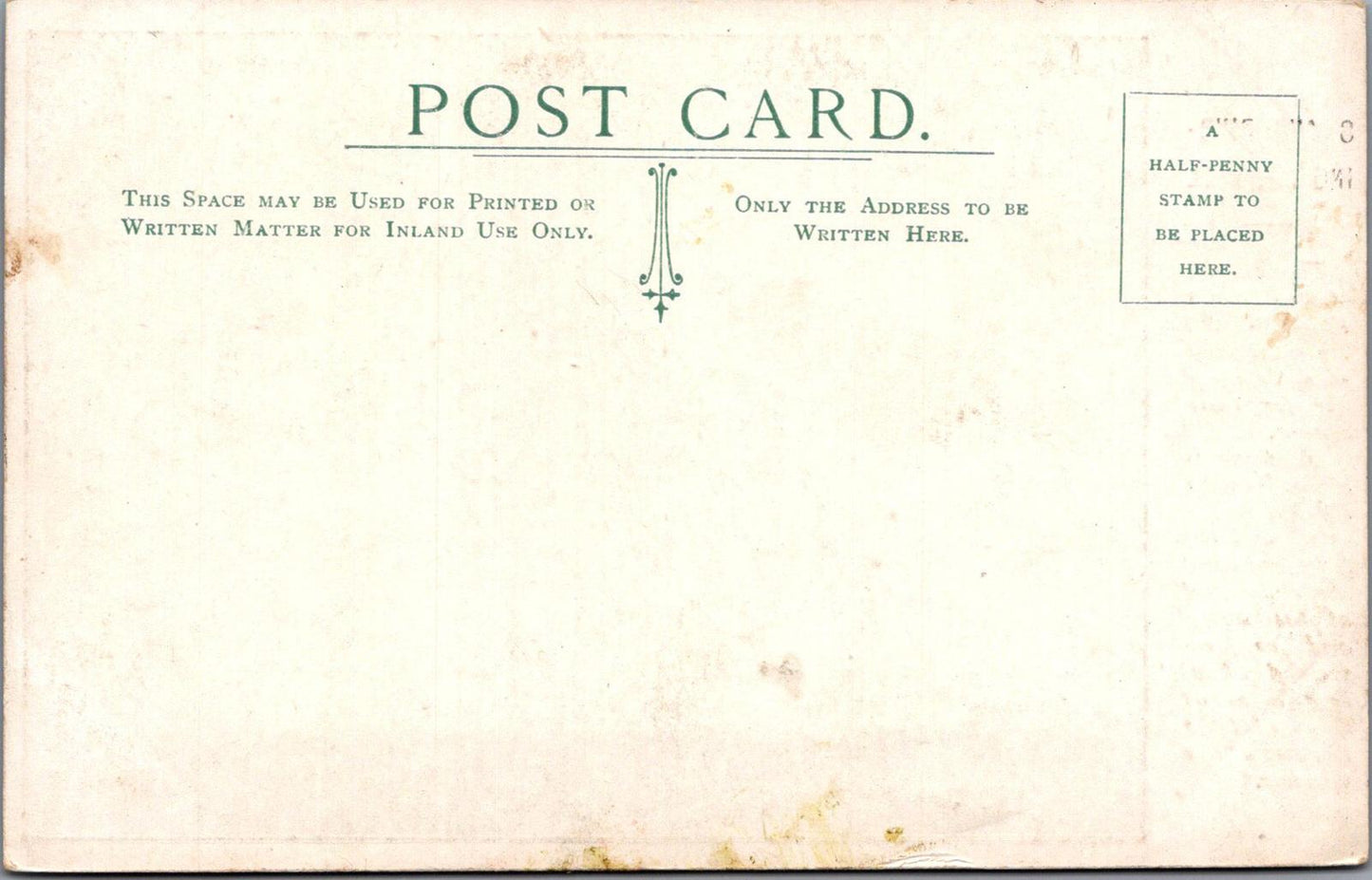 Somerset Postcard: Swans Ringing The Bell, Bishop's Palace, Wells XT1696