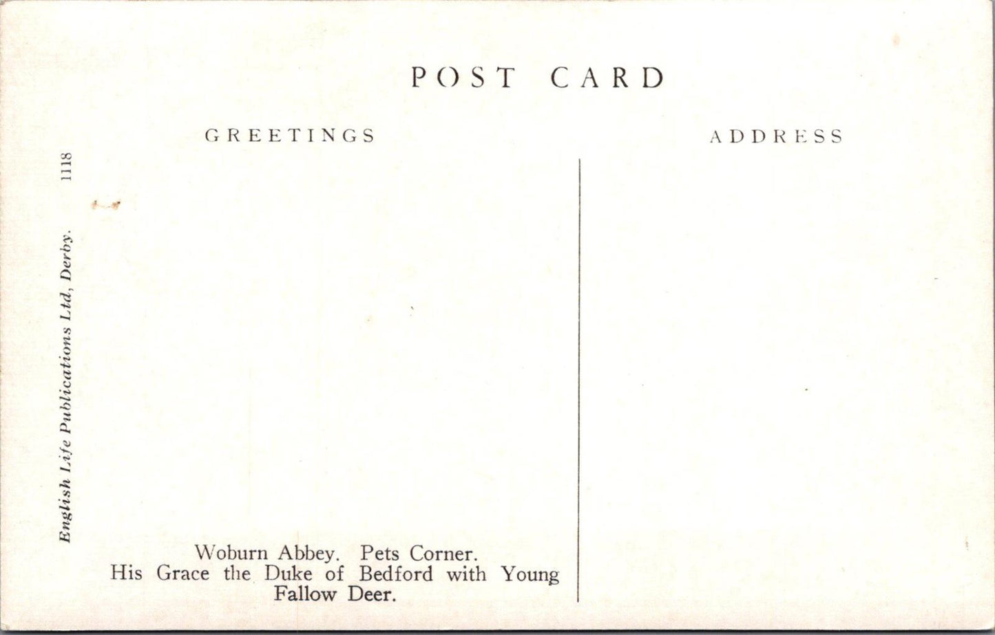 Animals Postcard - Woburn Abbey, Pets Corner, Young Fallow Deer XT558