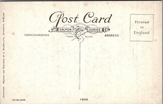 Animals Postcard: Starlings Birds Pair Castle Ruins Artist George Rankin XT3141