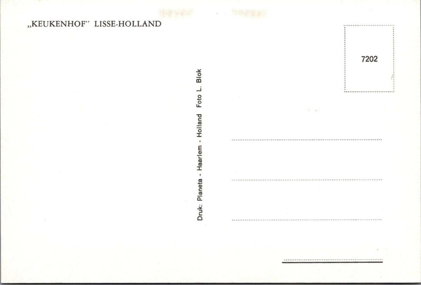 Netherlands Postcard: Keukenhof Gardens Lisse Flower Tulips Park Chrome XT2780