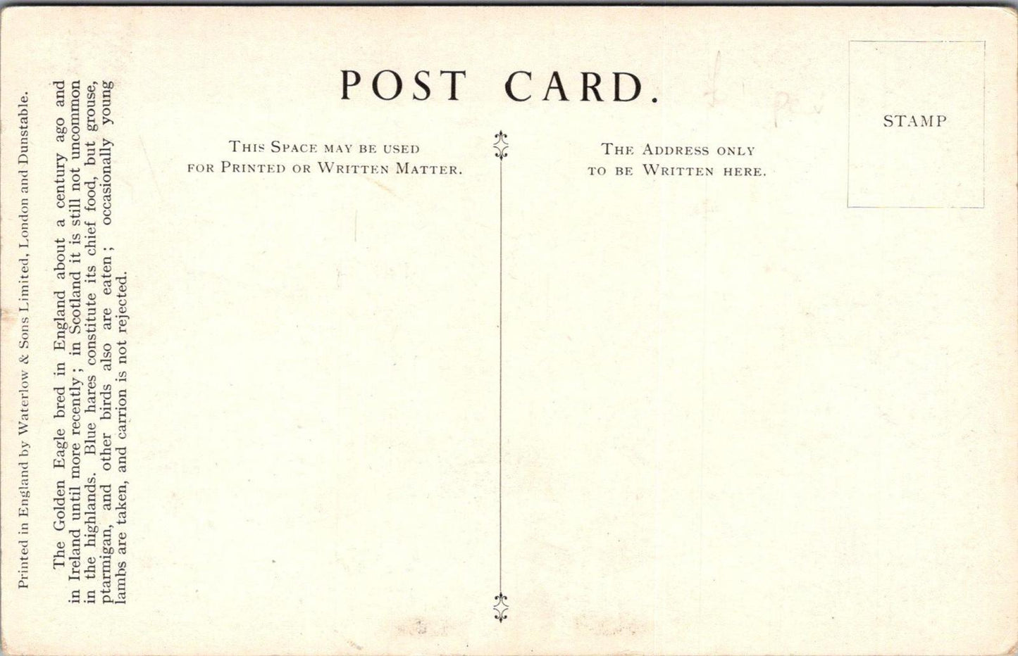 Animals Postcard - Birds, Golden Eagle, Aquila, Chrysaetos British Museum XT1252