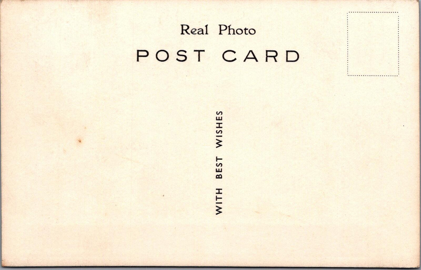 Pekingese Dogs Postcard: Trio of Pekingese Puppies, Real Photo 1930's XT2073.