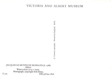 Load image into Gallery viewer, Fruit Art Postcard - Melon, Jacques Le Moyne De Morgues, V & A Museum RR22487