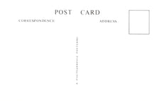 Load image into Gallery viewer, Co Durham Postcard - Sunderland Transport, Buses in Union Street 1938 - XT15