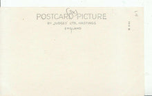 Load image into Gallery viewer, Sussex Postcard - Arundel, Swanbourne Park, Evening Shadows ZZ3973