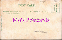 Load image into Gallery viewer, Northumberland Postcard - Morpeth From Castle HM409