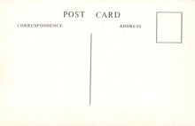 Load image into Gallery viewer, Devon Postcard - Old Paignton, Horse Transport, Victoria Street c1912 - XT5