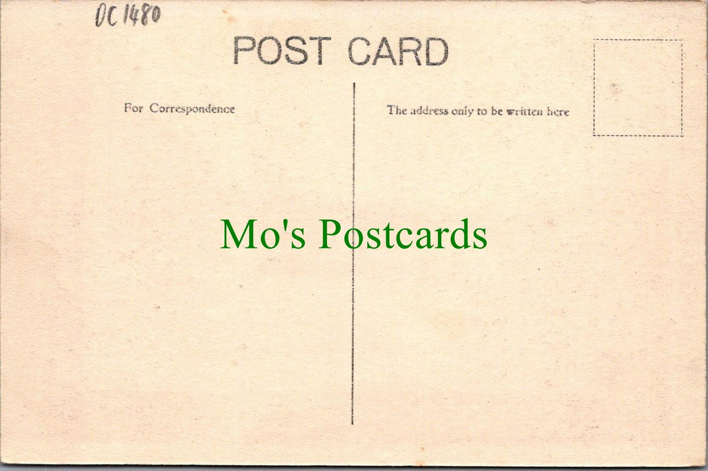 Shropshire Postcard - Bridgnorth, High Rock DC1480