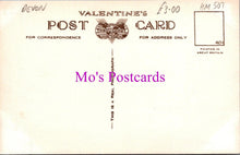 Load image into Gallery viewer, Devon Postcard - Totnes, Fore Street HM507