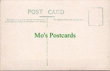 Load image into Gallery viewer, Sussex Postcard - Brighton - Nell Gwynne's Looking Glass Public Museum RS30608