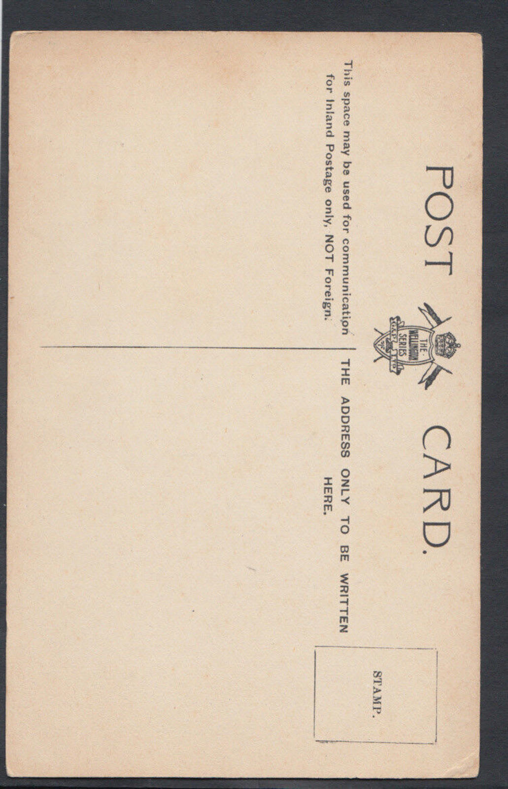 Dorset Postcard - Shelley's Monument, Christchurch RS10582