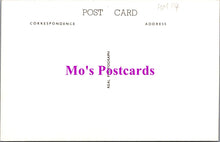 Load image into Gallery viewer, London Postcard - Crystal Palace in 1900, From The Parade. Pamlin Prints HM114