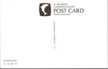 Load image into Gallery viewer, Animals Postcard - Dogs, Pets, Bloodhound Dog RS38623