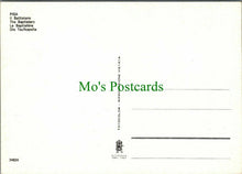 Load image into Gallery viewer, Italy Postcard - Tuscany, Pisa, The Baptistery RR12429