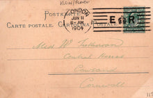 Load image into Gallery viewer, Flower Postcard-Marsh Marigold (Caltha Palustris) or a Buttercup Type Bloom XT52