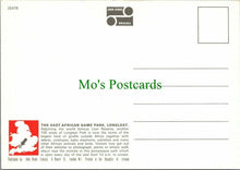 Load image into Gallery viewer, Wiltshire Postcard - East African Picnic Game, Longleat Park, Warminster RR12316