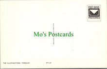 Load image into Gallery viewer, Devon Postcard - Torquay - The Illuminations RS32121