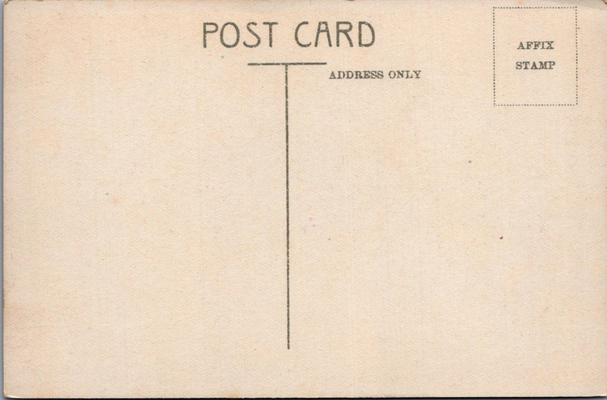 Yorkshire Postcard: Museum And Cliff Bridge Terrace Scarborough 1920s XT5378