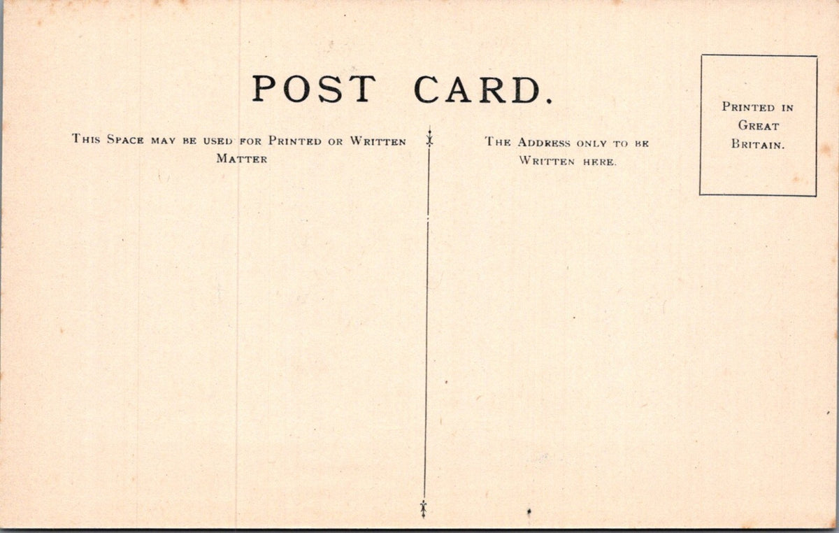 Insect Postcard: Exotic Beetles Sternotomis Calliaudi Back Design 1930s XT5472