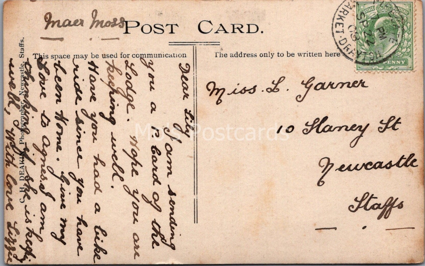 Staffordshire Postcard: Maer Hall Gate Lodge Entrance Driveway 1908 XT3737
