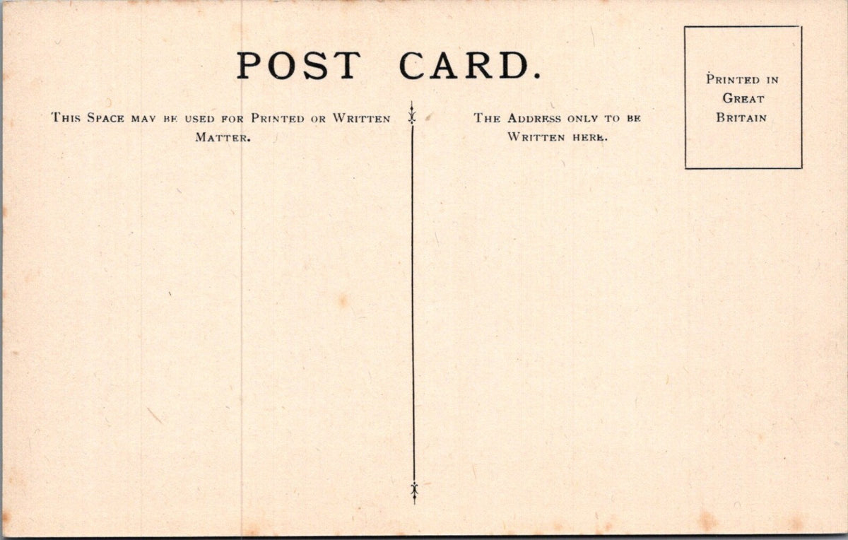 Beetle Postcard: Exotic Beetles Mesomphalia Tortoise Back Design 1930s XT5475