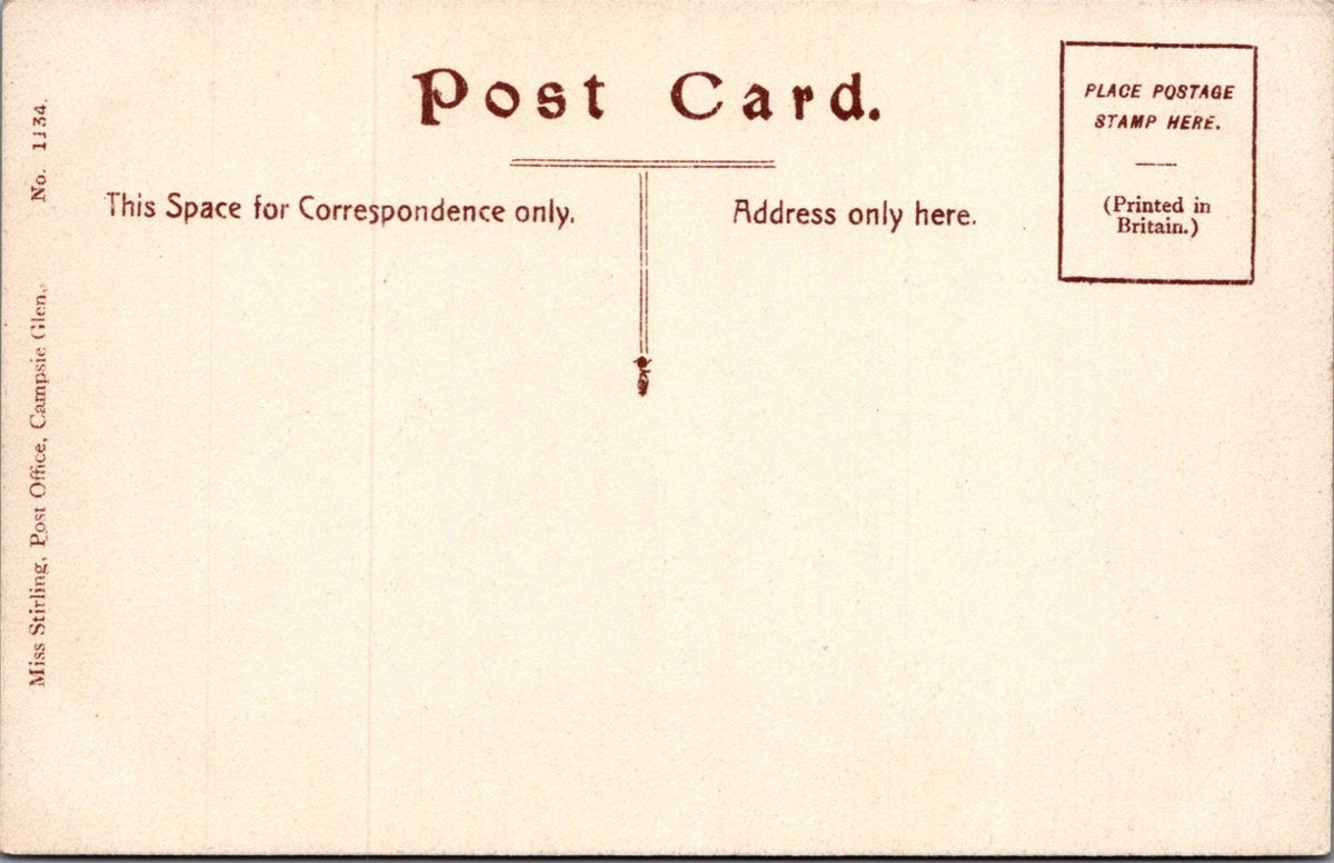 Stirlingshire Postcard: Campsie Glen Fintry Road Highland Cattle XT5433