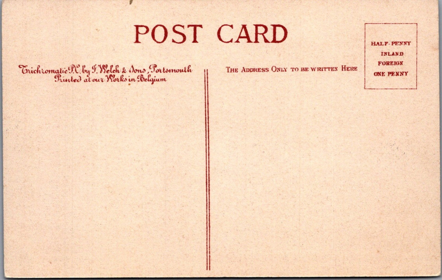 Dorset Postcard: Bournemouth Alum Chine Rustic Bridge Valley Resort 1900s XT3467