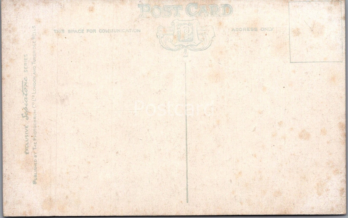 Isle of Wight Postcard: Newport Market Place Town Hall Street 1900s XT5081