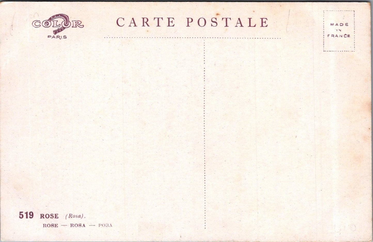 Flowers Postcard: Rose Rosa Red Buds Stems Signed Barde Color Paris 1910s XT3583