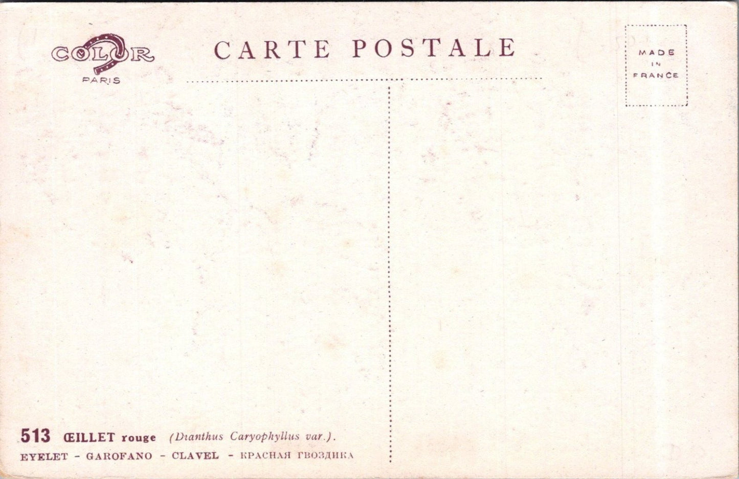 Flowers Postcard: Oeillet Rouge Red Carnation Dianthus Signed Barde Paris XT3585